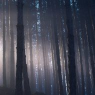 Tobis Online Allerlei